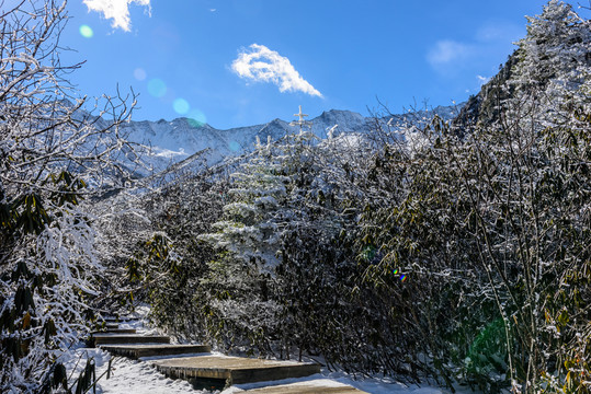 四川海螺溝登山道