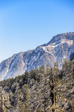 螺溝景區(qū)山景