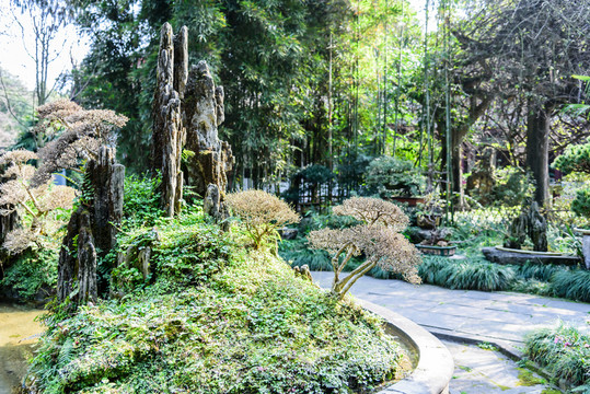 杜甫草堂園林風(fēng)景