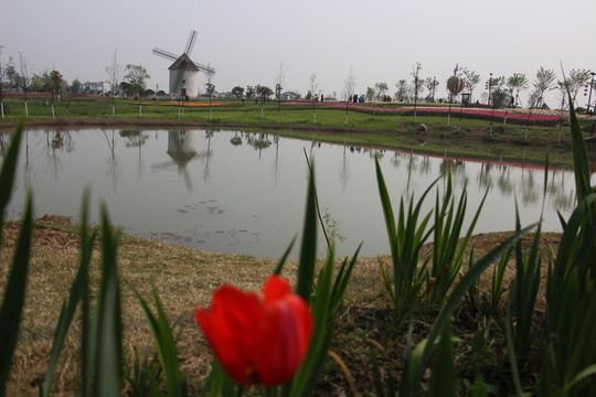 金卉莊園