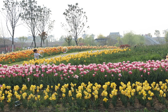 金卉莊園