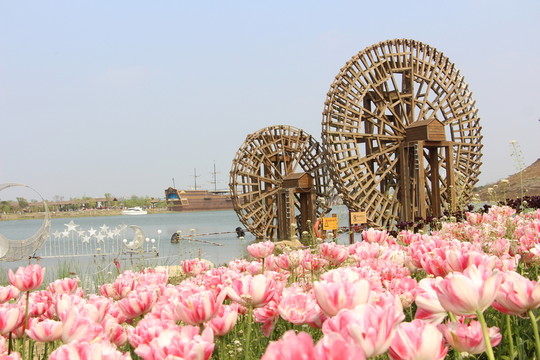 金卉莊園