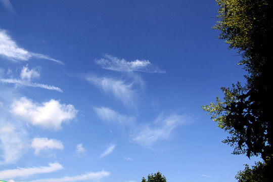 藍天  天空