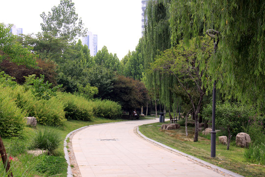 公園道路 公園風(fēng)景 景區(qū)
