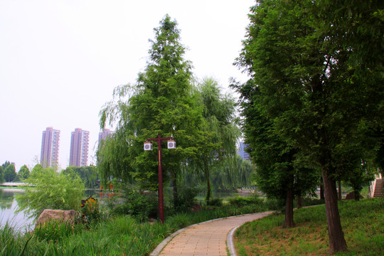 公園風(fēng)景  園林綠化