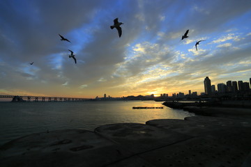 大連 星海廣場 夕陽