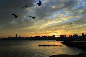 大連 星海廣場 夕陽