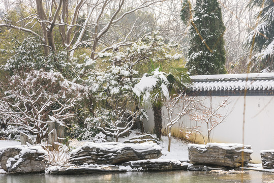 紅樓藝文苑雪景