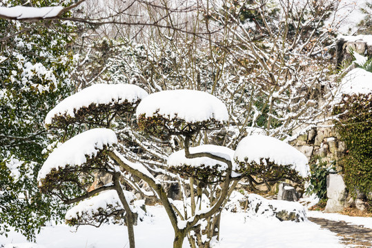 園林雪景