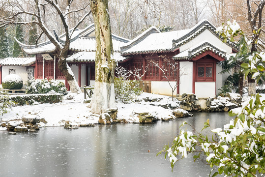 紅樓藝文苑雪景