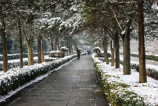 明孝陵神道雪景