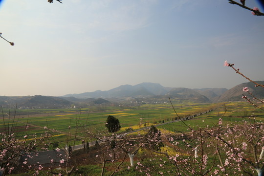 春景