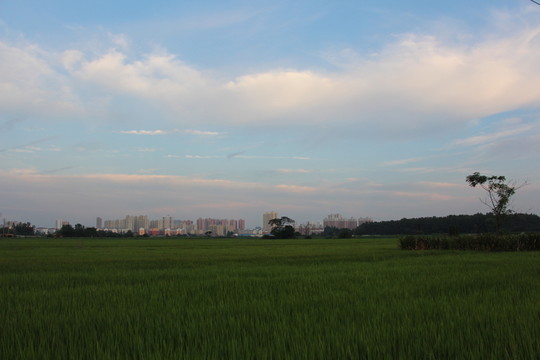 夏日鄉(xiāng)村美如畫(huà)
