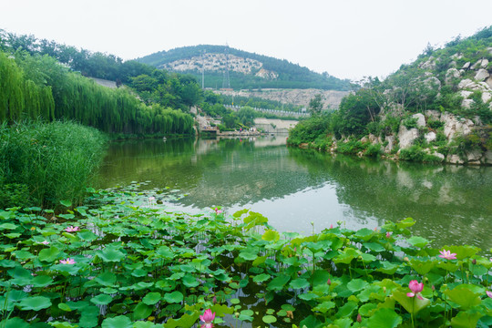 濟(jì)南歷陽湖 （8）