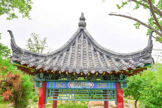 中式?jīng)鐾? style=