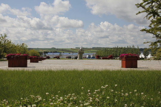 花 綠地 草坪 廣場(chǎng) 飛機(jī)