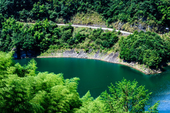 水庫 綠化 青山