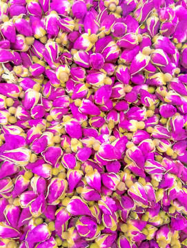 玫瑰花素材