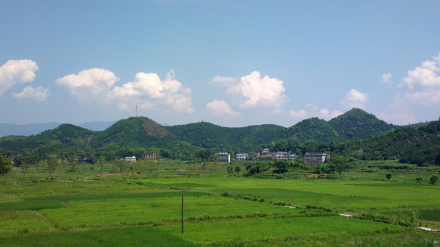農(nóng)村田野