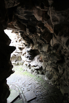 南京 瞻園 園林 園藝