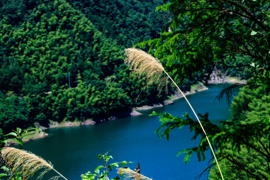 山谷碧水 湖光山色 波光粼粼