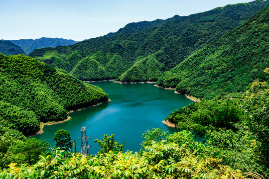 山谷池塘 綠色山間 寧波四明山