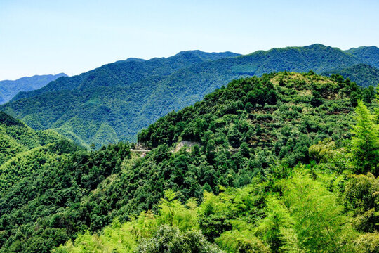 綠樹(shù) 青山 山峰山