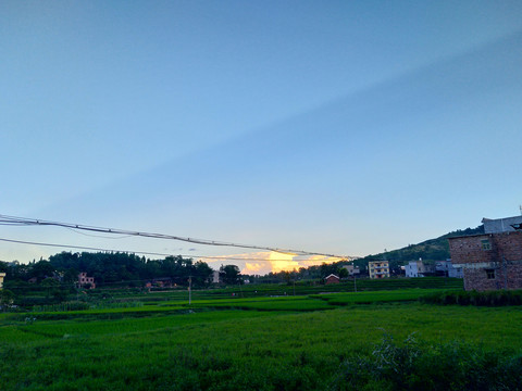 田園