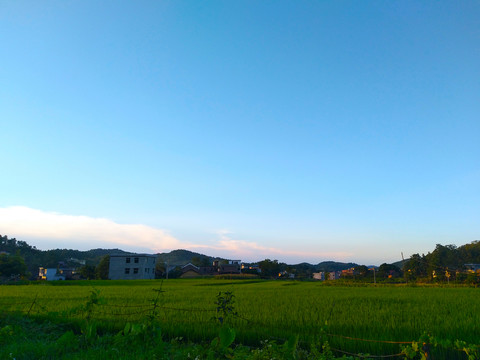農(nóng)村