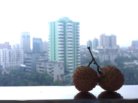 窗臺(tái)上的兩粒荔枝
