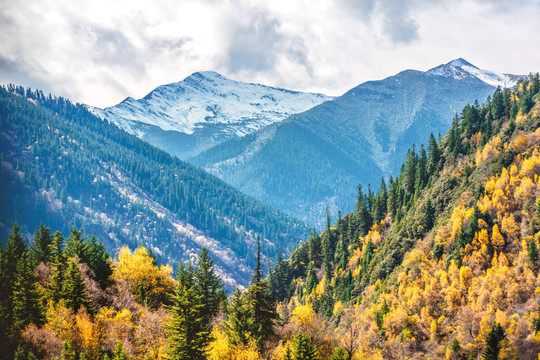 雪山