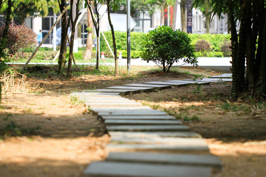 公園步道