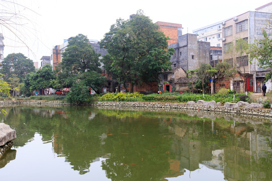 欽州中山公園 人工湖