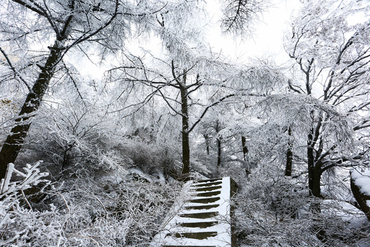霧凇雪景