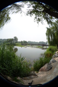 圓形水上美景