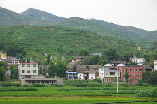 農(nóng)村