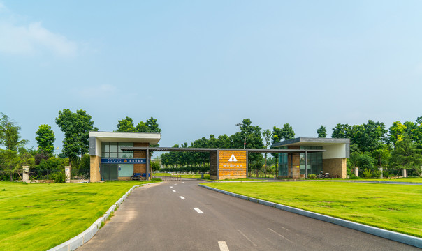 綠色基地