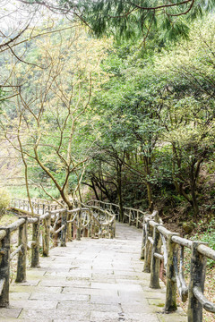 大龍湫風(fēng)景區(qū)棧道