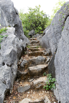 石階梯
