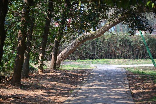 南京 雨花臺 烈士陵園 風(fēng)光