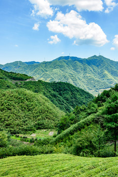 山峰 山脈 山川 群