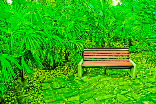 公園長(zhǎng)椅