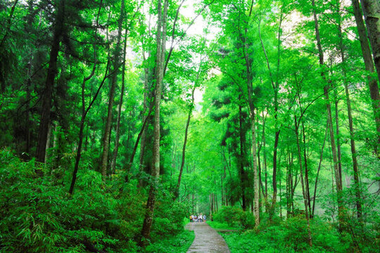 張家界山水風(fēng)光