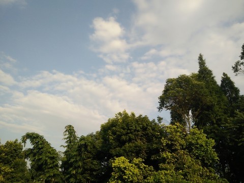 藍(lán)天白云