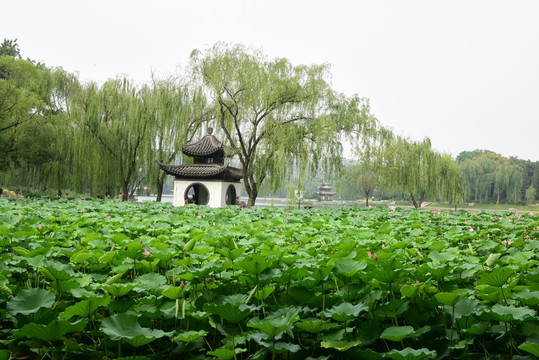 陶然亭公園