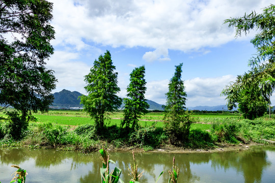 田園田野 農(nóng)業(yè)農(nóng)田 鄉(xiāng)村風(fēng)光