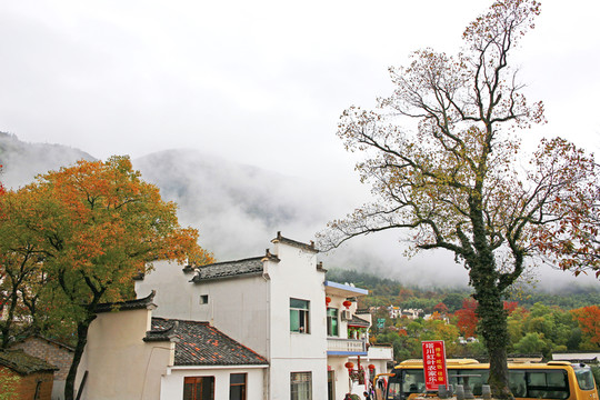 黟縣塔川