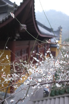 靈隱寺