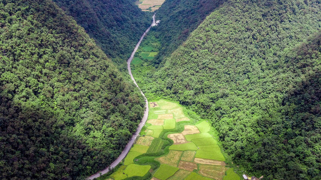 山水風光