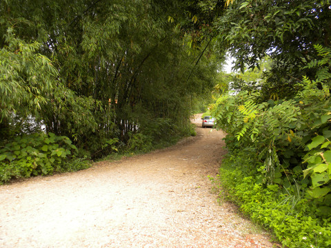 乡间小路